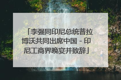 李强同印尼总统普拉博沃共同出席中国－印尼工商界晚宴并致辞